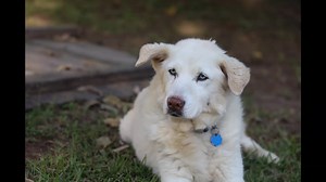 1.6K views · 455 reactions | Can you ever be ready? Our hearts are...