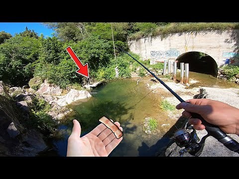 Je pêche au LARDON en Ville ! (ça marche bien)