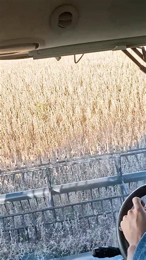 Hopefully I don't break this... | Larson Farms