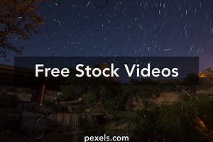 Fireflies Videos, Download The BEST Free 4k Stock Video Footage & Fireflies HD Video Clips