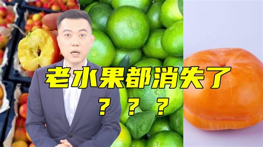 儿时的老水果真的消失了吗？？？【主播说三农】