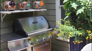 Growing Vegetables In Small Spaces It’s nice to grow vegetable close to the kitchen. But space can often be a consideration. What to do? What about going up and using containers? Click here for an interesting video that shows us how. | GardenSMART
