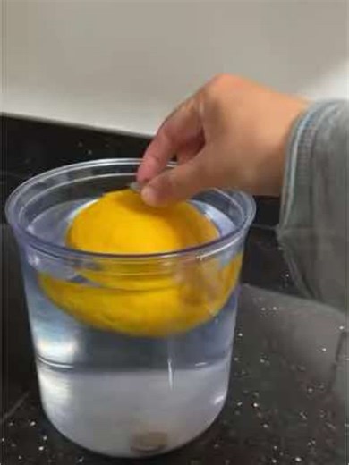How to Balance a Quarter on a Lemon: Tips & Tricks