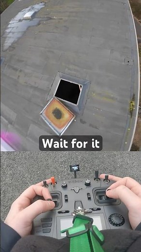 This Dive... | FPV Drone Freestyle (🎥: IG / nils.vo)