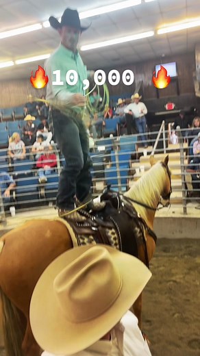 Bowie Texas Livestock (@bowietexaslivestock.com)’s videos with original sound - Bowie Texas Livestock