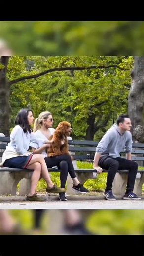 Please Don't Skip 😭🙏💨 Funniest Expression's reaction 🤣 #fartprank #funny #prank #fyp #viral