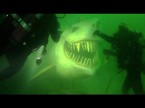 The Unspeakable Horrors of the Deep Sea (ft. LindsayNikole)