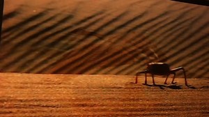 Baby Einstein Animals Around Me DVD 2010 Part 2