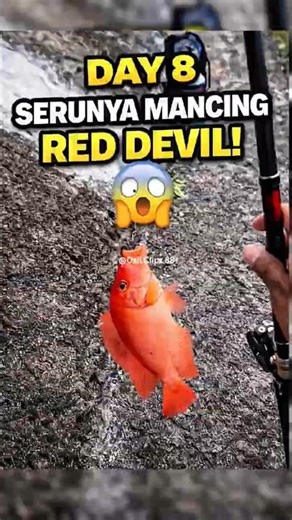 Spot Sungai Ini Bikin Strike Terus, Gak Nyangka! Ikan Red Devil. Day 8 Microfishing #shorts #mancing