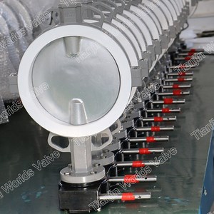 [Hot Item] Mono Flanged Wafer Butterfly Valve with PTFE Liner Split Body