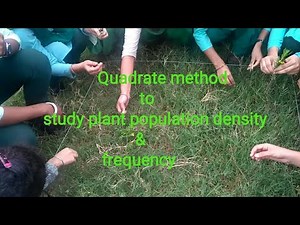 Quadrate Method To Study Plant Population Density & Frequency|12th Class Biology|Important Practical