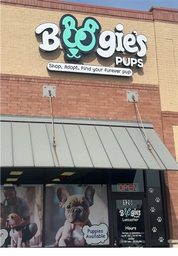 Find Your Furever Pup at Boogie's Pups in Lancaster!