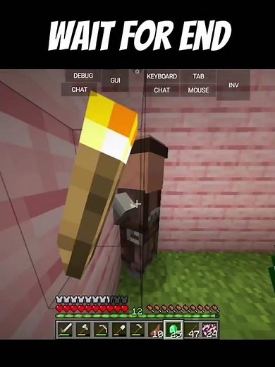 Minecraft Villager Singing