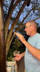 Finding this really cool wolf spider 🕷️ - was a real treat! 🎃🤣 #ivancarter #fyp #reels #insects #fb | Ivan Carter