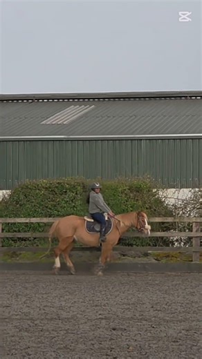 my back protector makes me look buff 💪✨️ x