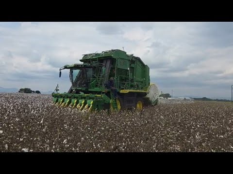 Cotton Harvesting with a John Deere CP770 Cotton Picker | AFGRI Equipment