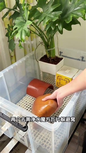 Ultimate Guide: 60-Cell Filter Plate Production Materials List