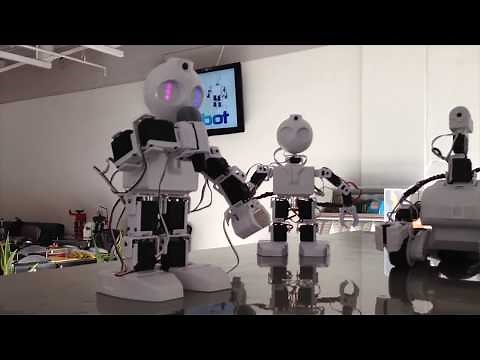 EZ Robot JD Humanoid