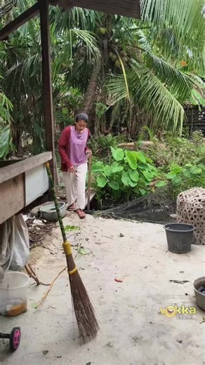 Angel Wes: Comedy Skits and Biography Unveiled