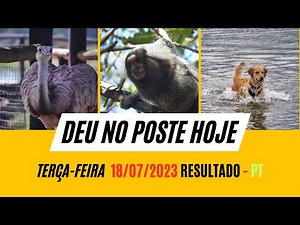 Resultado do Jogo do Bicho Deu NO Poste - PT RIO 14 HS dia 18/07/2023