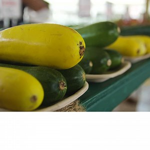 57K views · 223 reactions | Zucchini is rich in anti-inflammatory compounds. A bounty of farmers market vegetables may boost your health this summer. | UnitedHealthcare | Facebook