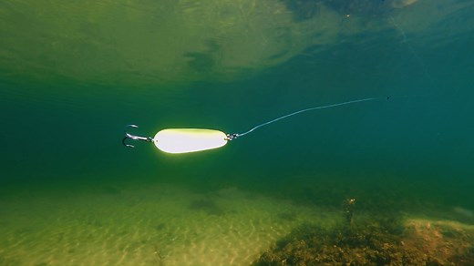 1K views · 22 reactions |  NEW LURE  It's time to bring out the metal. Introducing the Nauvo Spoon. Fluttering and rolling on the drop, Nauvo swims with a wide, life-like tail-wagging action, calling for big predators to take on the challenge! On faster retrieves, this metal spoon bursts into an irregular kicking action – breaking the rhythm and adding flash... What would you use the Nauvo to catch? #rapala #rapalauk #nauvo | Rapala | Facebook