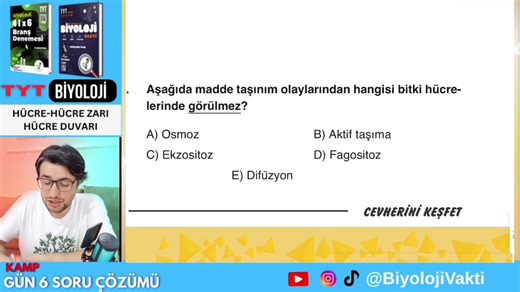 Hücre: Yaşamın Küçük Kahramanı ve Yapıları
