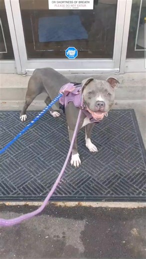 10K views · 639 reactions |  Chewsday Afternoon Spotlight: Jonathan...