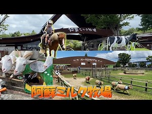 らくのうマザーズ阿蘇ミルク牧場で乗馬体験