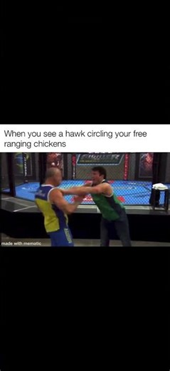 Aerial Predator vs Crazy Chicken Lady Pay per view👀