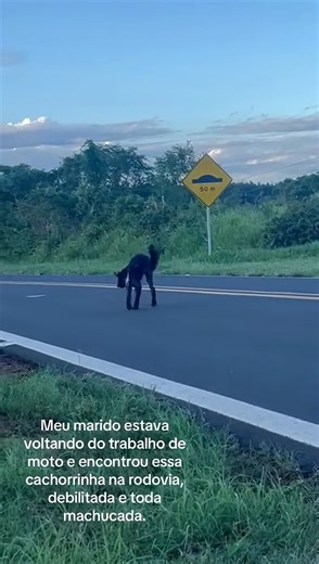 Já que postei um vídeo que fiz da nega hoje, relembrar o dia que ela entrou para nossa família. | Flávia Pedroso