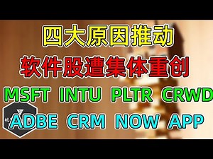 美股 四个原因！软件股集体遭重创！MSFT、INTU、ADBE、CRM、CRWD、NOW、PLTR、APP！