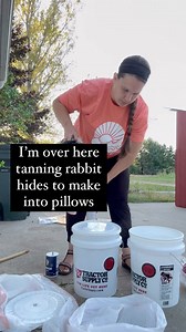 21K views · 63 reactions | We have been raising rabbits for a bunch of years now and never saved the pelts till last year. I just didn’t have the knowledge or headspace to take another thing on. Now I’mready. These pelts are absolutely gorgeous and I can’t wait to make something special out of them. #homestead #pelts #meatrabbits | Stay the Course Homestead | Facebook