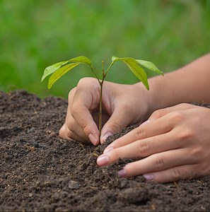 How to Make Money Farming 5 Acres or Less (Not Just Market Gardening!) - DixiBooks