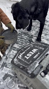 Daily-use gear built to last – bowls, food crates, pads, and more. | GUNNER