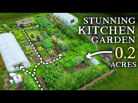 Productive Permaculture Inspired Kitchen Garden | Practical Self-Sufficiency in Action