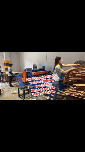 Automatic veneer clipping machine WhatsApp: 86 15064931296 #veneerclippingmachine | Veneer peeling machine,plywood machine