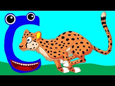 Learn the Alphabet Animals - Letter C - CHEETAH