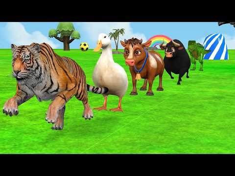 Long Slide Game With Duck Hippo Tiger Cow | Paint Animals Fountain Crossing ss | Funny 3d Animation