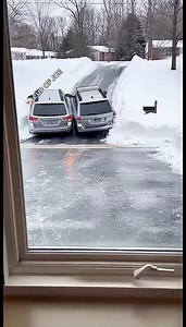 Cars Slide Down Black Ice in Shocking Display! #blackice #cars #ohno Two parked Subarus slide down a driveway, ending in a nasty thud in Massachusetts! The homeowner and their guests were stunned to see their vehicles slide down the drive and smash into each other. Thankfully, no one was hurt in the incident! This story created with AI and made for your entertainment | Cup of Joe Films