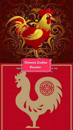 Exploring the 1981 Rooster in Chinese Zodiac