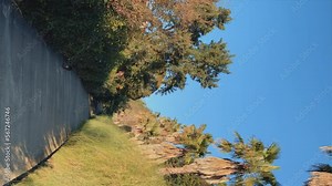 SOCHI, RUSSIA - January 2023: The territory of the park in the city of Sochi. View of palm trees and attractions in the arboretum. A sunny day at the Arboretum in Sochi.