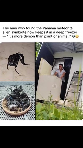 Exploring the Panama Meteorite Alien Symbiote Discovery