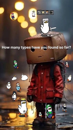 “THE TYPES OF DUCKS”