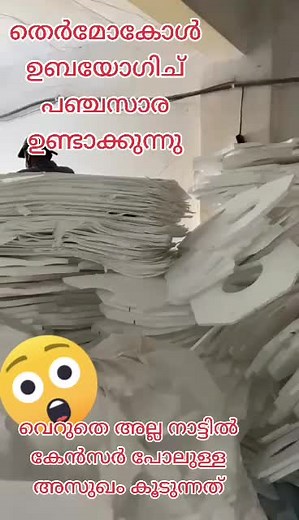 Inside the Paper-Making Factory: From Pulp to Product