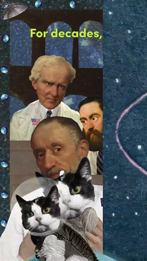 Felicette First and Only Space Cat