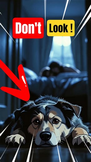 The Terrifying Reason Why Dogs Refuse to Sleep #hauntedhouse #short_horror