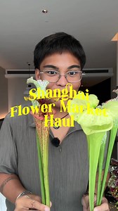 Dahlias for 100 Pesos per Bundle? Dangwa Flower Market Prices Explained