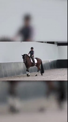 What do do if your horse rears? 🐴 check out my free web class at yourridingsuccess.com/frswebinarorg