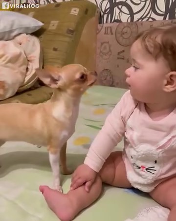 10K views · 458 reactions | Friends come in different shapes and sizes!  | Viral Stories | Facebook